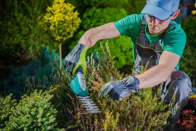 landscaping services Pineville
